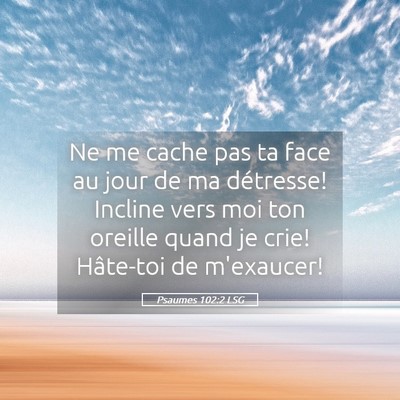 Picture 05 - Psaumes 102:2 LSG - Ne me cache pas ta face au jour de ma détresse! - Bible Verse Picture