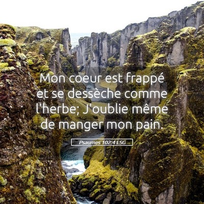 Picture 05 - Psaumes 102:4 LSG - Mon coeur est frappé et se dessèche comme - Bible Verse Picture