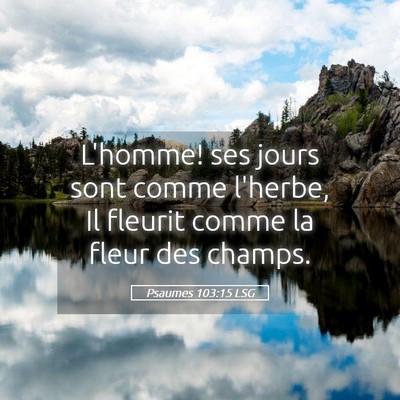 Picture 05 - Psaumes 103:15 LSG - L'homme! ses jours sont comme l'herbe, Il fleurit - Bible Verse Picture