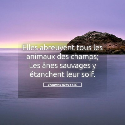 Picture 05 - Psaumes 104:11 LSG - Elles abreuvent tous les animaux des champs; Les - Bible Verse Picture