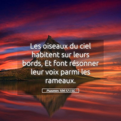 Picture 05 - Psaumes 104:12 LSG - Les oiseaux du ciel habitent sur leurs bords, Et - Bible Verse Picture