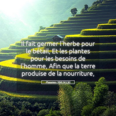 Picture 05 - Psaumes 104:14 LSG - Il fait germer l'herbe pour le bétail, Et les - Bible Verse Picture