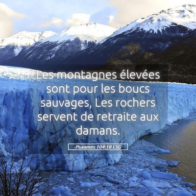 Picture 05 - Psaumes 104:18 LSG - Les montagnes élevées sont pour les boucs - Bible Verse Picture