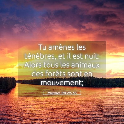 Picture 05 - Psaumes 104:20 LSG - Tu amènes les ténèbres, et il est nuit: Alors - Bible Verse Picture