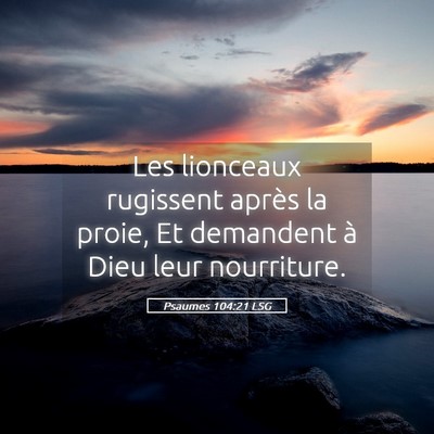 Picture 05 - Psaumes 104:21 LSG - Les lionceaux rugissent après la proie, Et - Bible Verse Picture