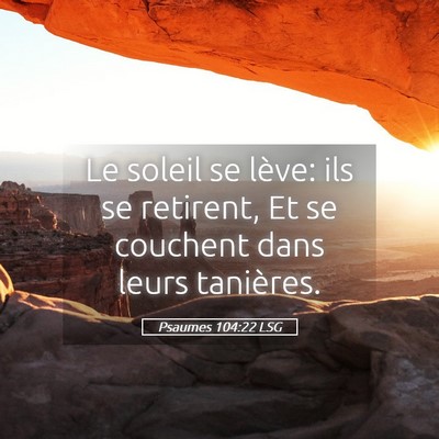 Picture 05 - Psaumes 104:22 LSG - Le soleil se lève: ils se retirent, Et se - Bible Verse Picture