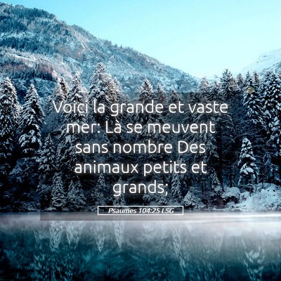 Picture 05 - Psaumes 104:25 LSG - Voici la grande et vaste mer: Là se meuvent sans - Bible Verse Picture