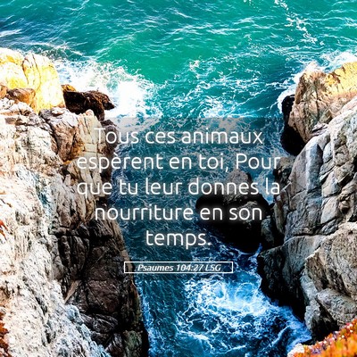 Picture 05 - Psaumes 104:27 LSG - Tous ces animaux espèrent en toi, Pour que tu - Bible Verse Picture