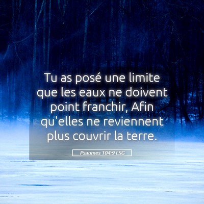 Picture 05 - Psaumes 104:9 LSG - Tu as posé une limite que les eaux ne doivent - Bible Verse Picture