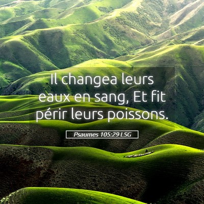 Picture 05 - Psaumes 105:29 LSG - Il changea leurs eaux en sang, Et fit périr - Bible Verse Picture