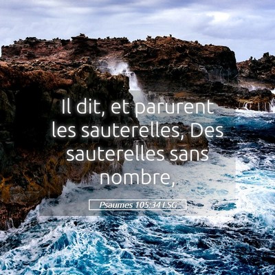 Picture 05 - Psaumes 105:34 LSG - Il dit, et parurent les sauterelles, Des - Bible Verse Picture