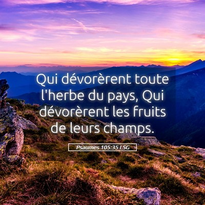 Picture 05 - Psaumes 105:35 LSG - Qui dévorèrent toute l'herbe du pays, Qui - Bible Verse Picture