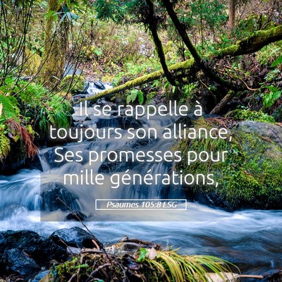 Picture 05 - Psaumes 105:8 LSG - Il se rappelle à toujours son alliance, Ses - Bible Verse Picture