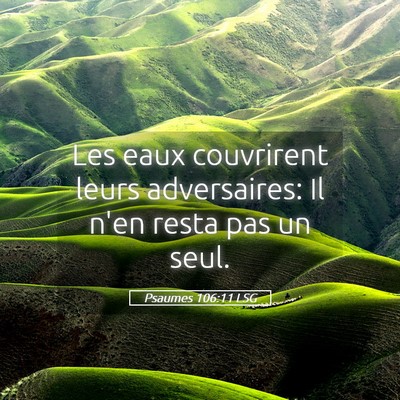 Picture 05 - Psaumes 106:11 LSG - Les eaux couvrirent leurs adversaires: Il n'en - Bible Verse Picture