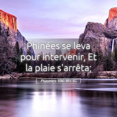 Picture 05 - Psaumes 106:30 LSG - Phinées se leva pour intervenir, Et la plaie - Bible Verse Picture