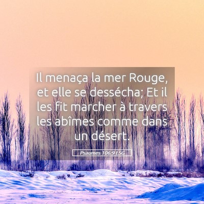 Picture 05 - Psaumes 106:9 LSG - Il menaça la mer Rouge, et elle se dessécha; Et - Bible Verse Picture