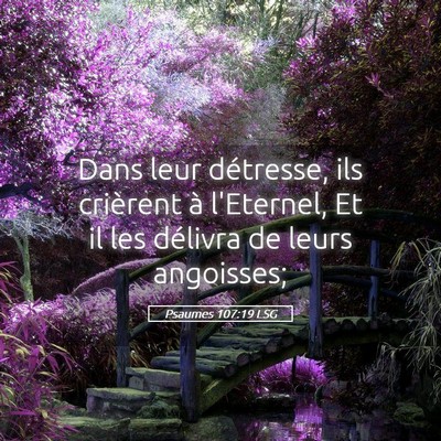 Picture 05 - Psaumes 107:19 LSG - Dans leur détresse, ils crièrent à l'Eternel, - Bible Verse Picture