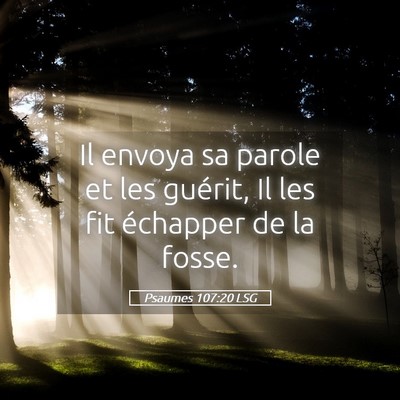 Picture 05 - Psaumes 107:20 LSG - Il envoya sa parole et les guérit, Il les fit - Bible Verse Picture
