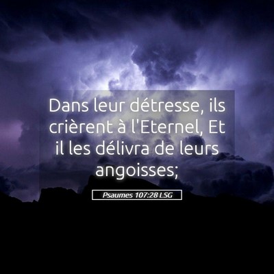 Picture 05 - Psaumes 107:28 LSG - Dans leur détresse, ils crièrent à l'Eternel, - Bible Verse Picture