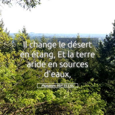 Picture 05 - Psaumes 107:35 LSG - Il change le désert en étang, Et la terre aride - Bible Verse Picture