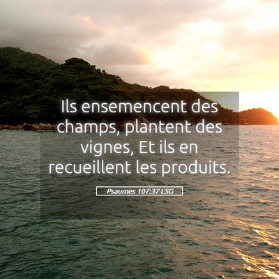 Picture 05 - Psaumes 107:37 LSG - Ils ensemencent des champs, plantent des vignes, - Bible Verse Picture