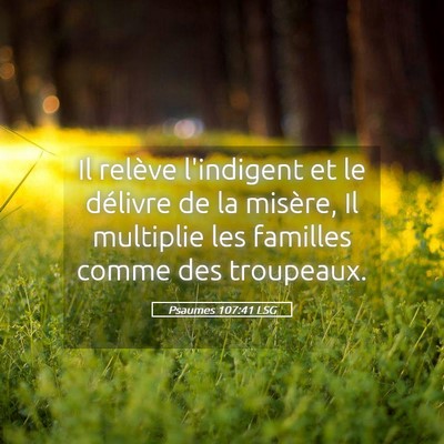 Picture 05 - Psaumes 107:41 LSG - Il relève l'indigent et le délivre de la - Bible Verse Picture