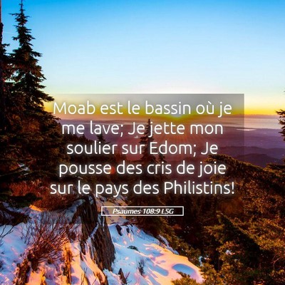 Picture 05 - Psaumes 108:9 LSG - Moab est le bassin où je me lave; Je jette mon - Bible Verse Picture