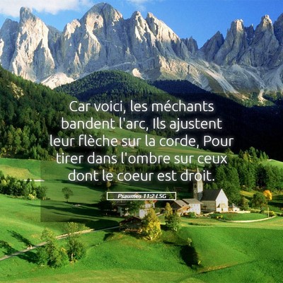 Picture 05 - Psaumes 11:2 LSG - Car voici, les méchants bandent l'arc, Ils - Bible Verse Picture