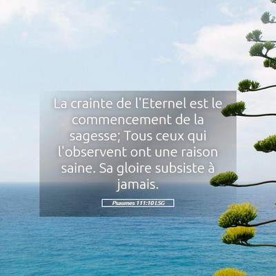 Picture 05 - Psaumes 111:10 LSG - La crainte de l'Eternel est le commencement de la - Bible Verse Picture