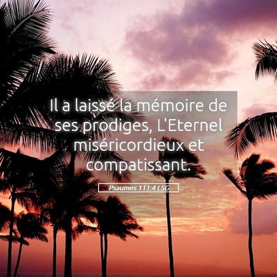 Picture 05 - Psaumes 111:4 LSG - Il a laissé la mémoire de ses prodiges, - Bible Verse Picture