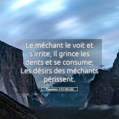 Picture 05 - Psaumes 112:10 LSG - Le méchant le voit et s'irrite, Il grince les - Bible Verse Picture