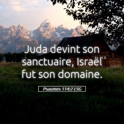 Picture 05 - Psaumes 114:2 LSG - Juda devint son sanctuaire, Israël fut son - Bible Verse Picture