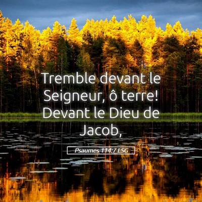 Picture 05 - Psaumes 114:7 LSG - Tremble devant le Seigneur, ô terre! Devant le - Bible Verse Picture