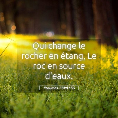 Picture 05 - Psaumes 114:8 LSG - Qui change le rocher en étang, Le roc en source - Bible Verse Picture