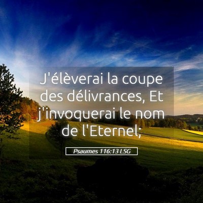 Picture 05 - Psaumes 116:13 LSG - J'élèverai la coupe des délivrances, Et - Bible Verse Picture