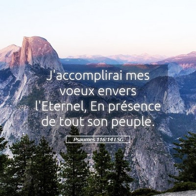 Picture 05 - Psaumes 116:14 LSG - J'accomplirai mes voeux envers l'Eternel, En - Bible Verse Picture