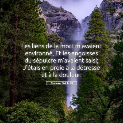Picture 05 - Psaumes 116:3 LSG - Les liens de la mort m'avaient environné, Et les - Bible Verse Picture