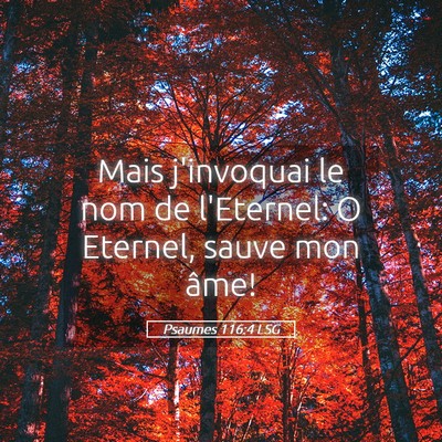 Picture 05 - Psaumes 116:4 LSG - Mais j'invoquai le nom de l'Eternel: O Eternel, - Bible Verse Picture