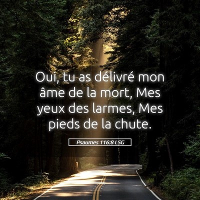 Picture 05 - Psaumes 116:8 LSG - Oui, tu as délivré mon âme de la mort, Mes - Bible Verse Picture