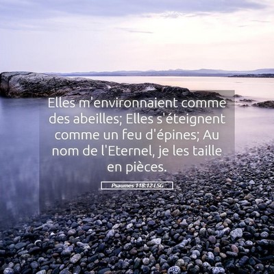 Picture 05 - Psaumes 118:12 LSG - Elles m'environnaient comme des abeilles; Elles - Bible Verse Picture