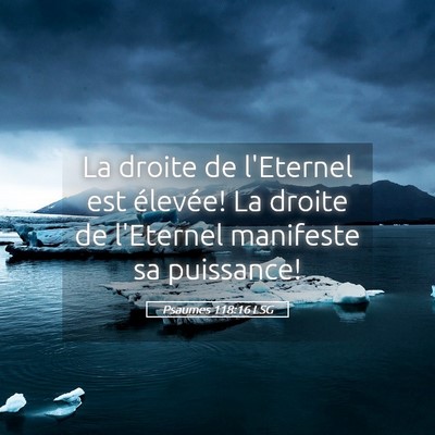Picture 05 - Psaumes 118:16 LSG - La droite de l'Eternel est élevée! La droite de - Bible Verse Picture