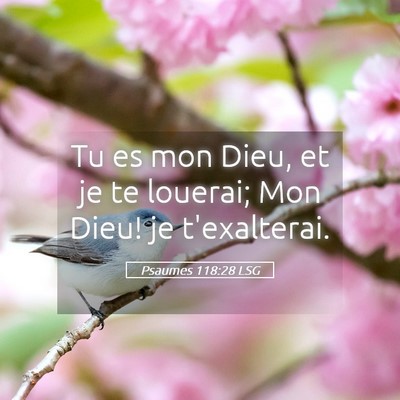 Picture 05 - Psaumes 118:28 LSG - Tu es mon Dieu, et je te louerai; Mon Dieu! je - Bible Verse Picture