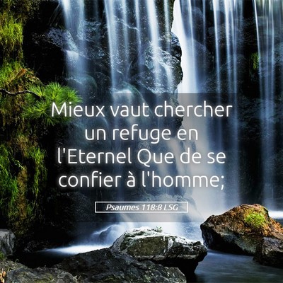 Picture 05 - Psaumes 118:8 LSG - Mieux vaut chercher un refuge en l'Eternel Que de - Bible Verse Picture