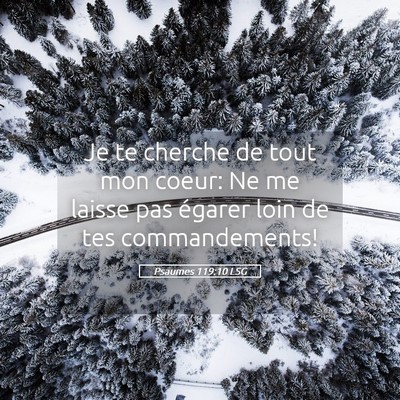 Picture 05 - Psaumes 119:10 LSG - Je te cherche de tout mon coeur: Ne me laisse pas - Bible Verse Picture