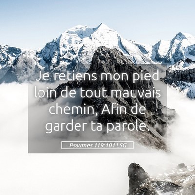 Picture 05 - Psaumes 119:101 LSG - Je retiens mon pied loin de tout mauvais chemin, - Bible Verse Picture