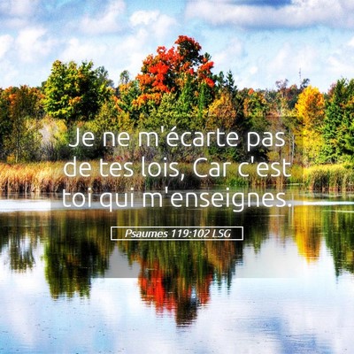 Picture 05 - Psaumes 119:102 LSG - Je ne m'écarte pas de tes lois, Car c'est toi - Bible Verse Picture