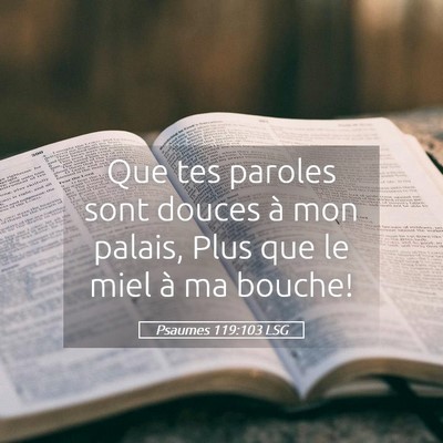 Picture 05 - Psaumes 119:103 LSG - Que tes paroles sont douces à mon palais, Plus - Bible Verse Picture