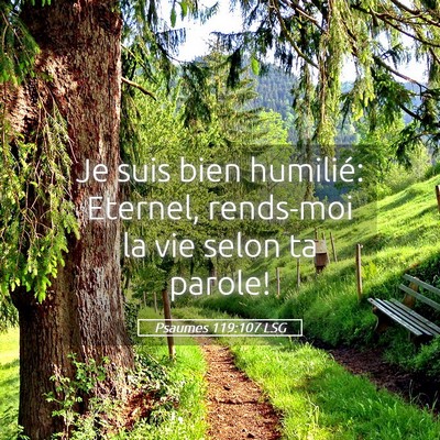 Picture 05 - Psaumes 119:107 LSG - Je suis bien humilié: Eternel, rends-moi la vie - Bible Verse Picture