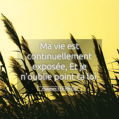 Picture 05 - Psaumes 119:109 LSG - Ma vie est continuellement exposée, Et je - Bible Verse Picture