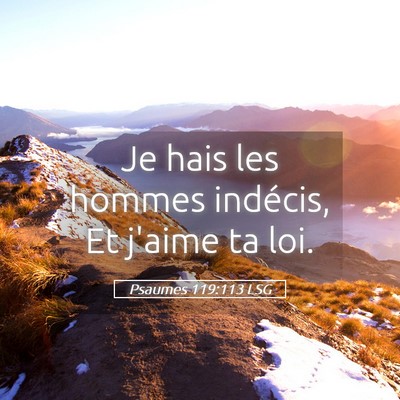Picture 05 - Psaumes 119:113 LSG - Je hais les hommes indécis, Et j'aime ta - Bible Verse Picture